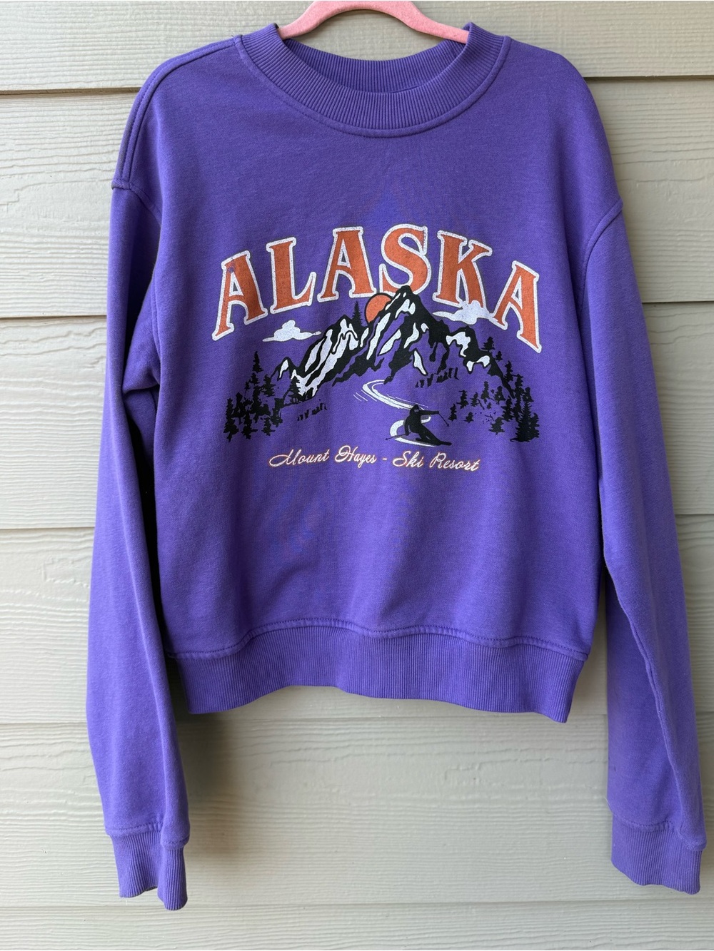 H&M Women’s purple Alaska crewneck sweatshirt-XS
